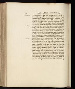p. 325