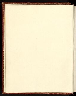 iv (Blank)