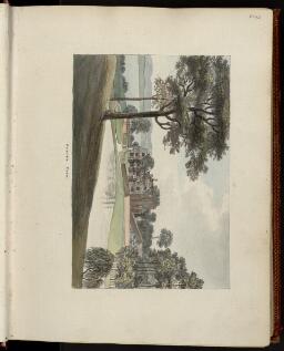 p. 240/1 (Ottley Park)