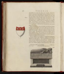 p. 312