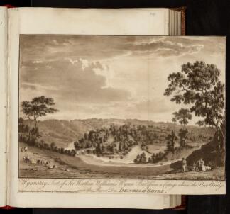 p. 312/1 (Wynnstay)