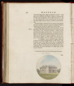 p. 316