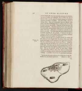 p. 376