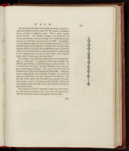 p. 423