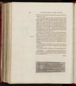 p. 436