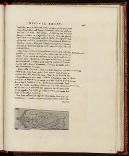 p. 445