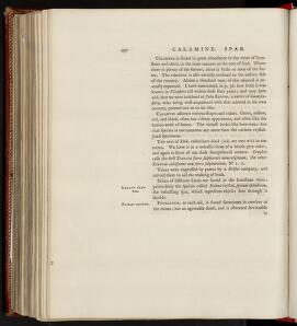 p. 450
