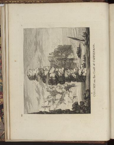 [xx] (Column on the coast of Caithness)