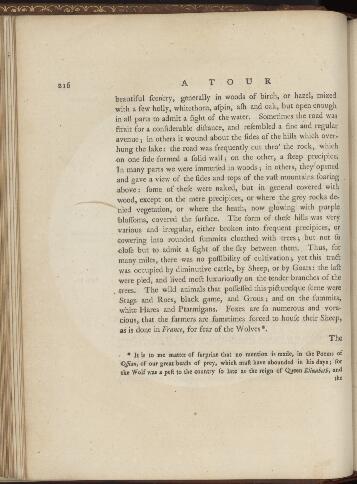 p. 216