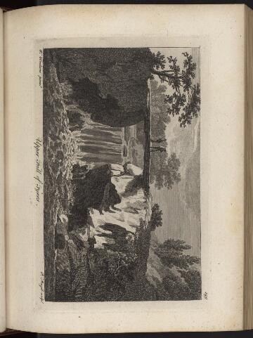 p. 218/3 (Upper Fall of Fyers)