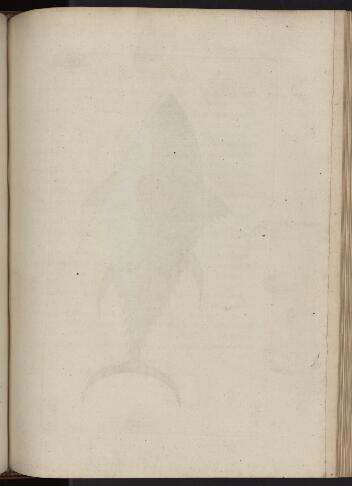 p. 240/1 (blank)
