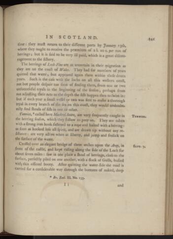 p. 241