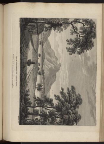 p. 244/1 (Ben-Lomond)