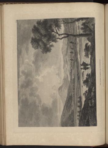 p. 246/4 (Ben-Lomond)