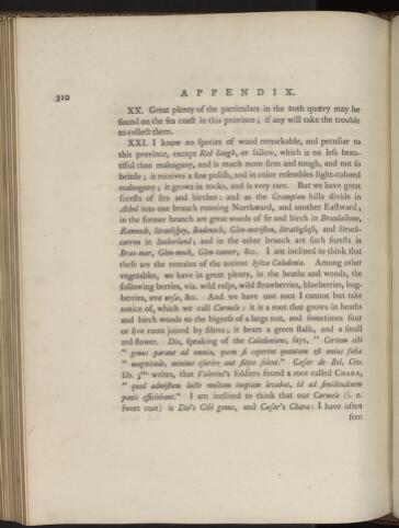 p. 310