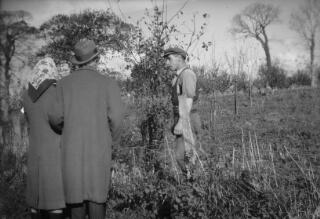 David & Countess Lloyd George, their backs to the camera, talking to a farmhand. The presence of young fruit trees in the background suggests that this may have been taken at Ty Newydd.