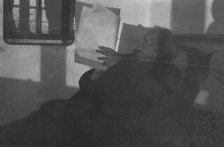 Head and shoulders informal portrait of David Lloyd George wearing a coat and sitting on a recliner on the deck of a ship reading papers, a cigar in his mouth. Image slightly fuzzy.