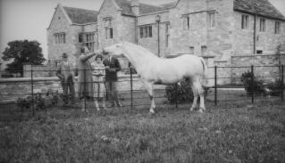 Two men and two women admiring a horse. In the background is a large country house. PZ7890/143-145 are variants of this.