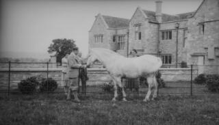 Two men and two women admiring a horse. In the background is a large country house. PZ7890/143-144, 146 are variants of this.