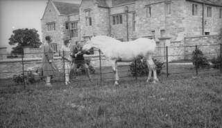 Two men and two women admiring a horse. In the background is a large country house. PZ7890/143-145 are variants of this.