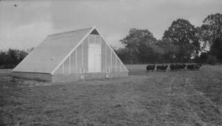 Small, new building in a field. Building has a low brick base of six courses and a steeply sloping roof. A small flock of black sheep are to the right of the building.