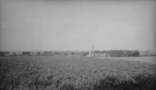 A flat landscape with a farm in the middle distance.