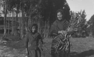 Two girls wearing headscarves and holding bundles of some form of vegetation. Behind them is a stand of trees.