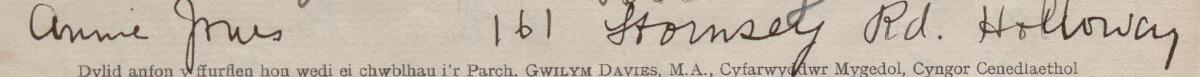 Image of Annie Jones's signature and address in the petition