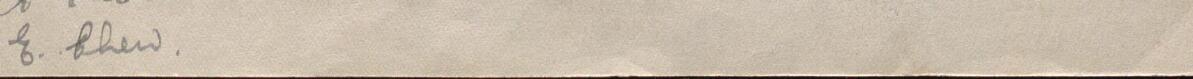 Image of E Chew's signature and address in the petition