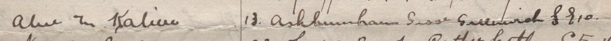 Image of Alice M Kaliere's signature and address in the petition