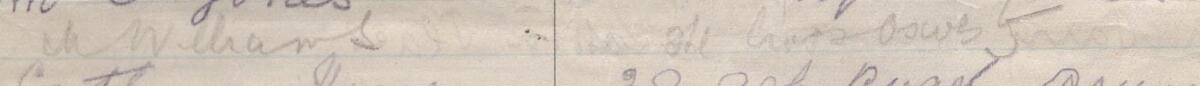 Image of M Williams's signature and address in the petition