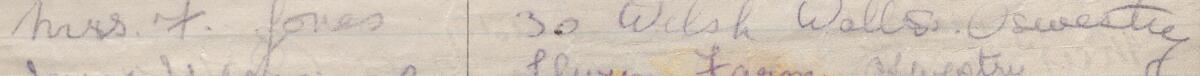 Image of Mrs F Jones's signature and address in the petition