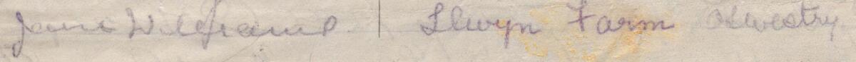 Image of Jane Williams's signature and address in the petition