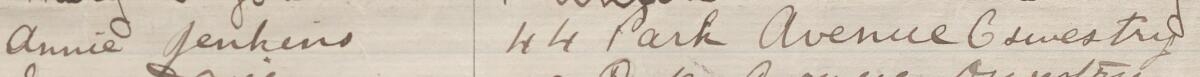 Image of Annie Jenkins's signature and address in the petition