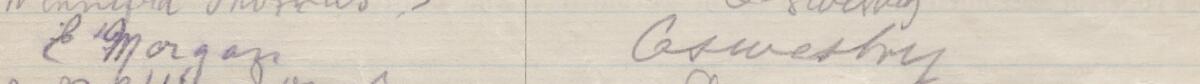 Image of E Morgan's signature and address in the petition