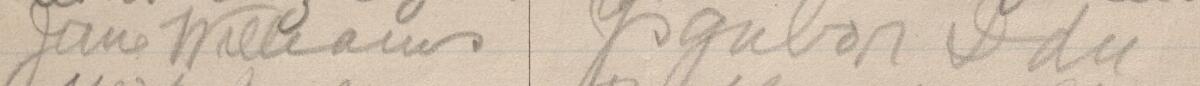 Image of Jane Williams's signature and address in the petition