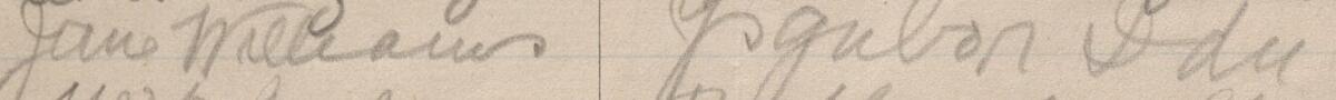 Image of Jane Williams's signature and address in the petition