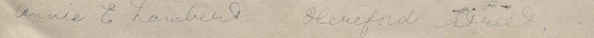 Image of Annie E Lambert's signature and address in the petition
