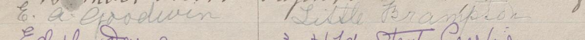 Image of E A Goodwin's signature and address in the petition