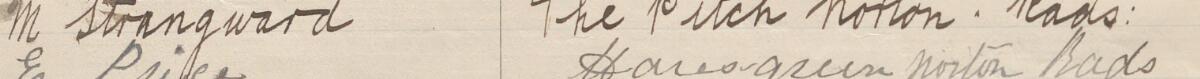 Image of M Strangward's signature and address in the petition