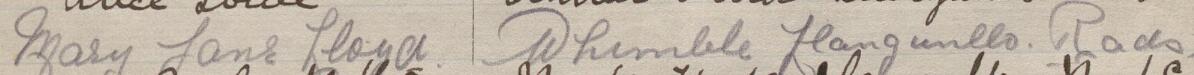 Image of Mary Jane Lloyd's signature and address in the petition