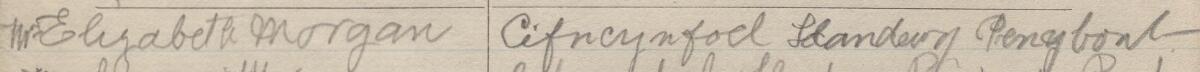 Image of Mrs Elizabeth Morgan's signature and address in the petition