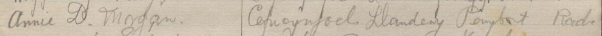 Image of Annie D. Morgan's signature and address in the petition