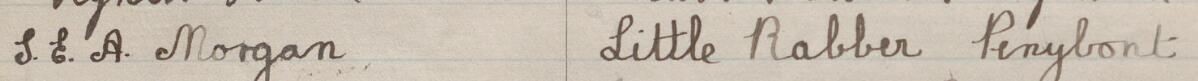 Image of S. E. a. Morgan's signature and address in the petition