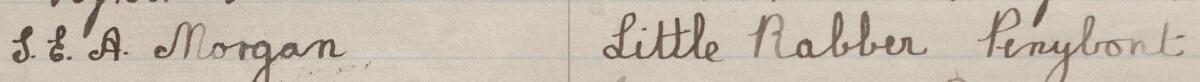 Image of S E A Morgan's signature and address in the petition