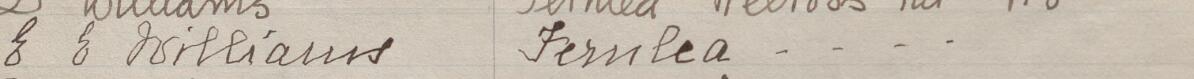 Image of E E Williams's signature and address in the petition