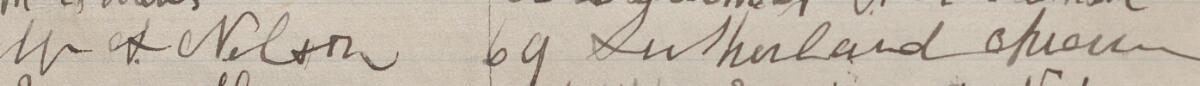 Image of W A Nelson's signature and address in the petition