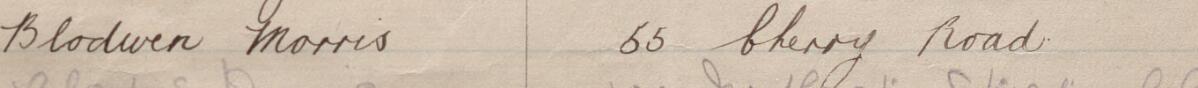 Image of Blodwen Morris's signature and address in the petition