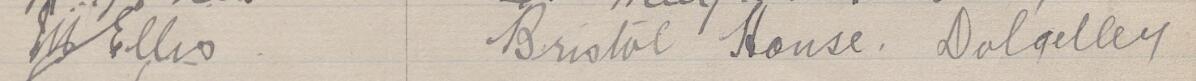 Image of M Ellis's signature and address in the petition