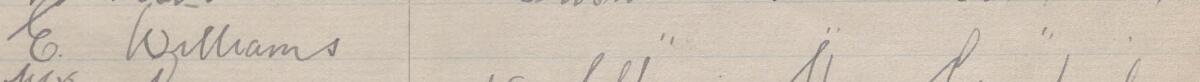 Image of E Williams's signature and address in the petition